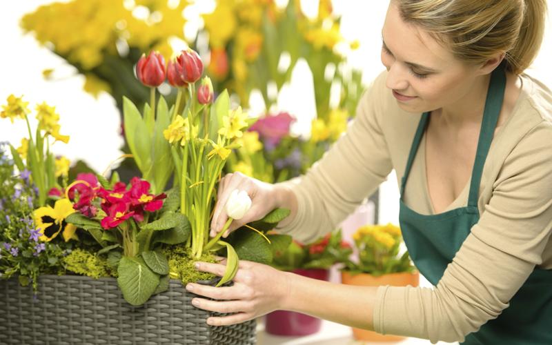 สร้างสรรค์ช่อดอกไม้ด้วยมือคุณเอง